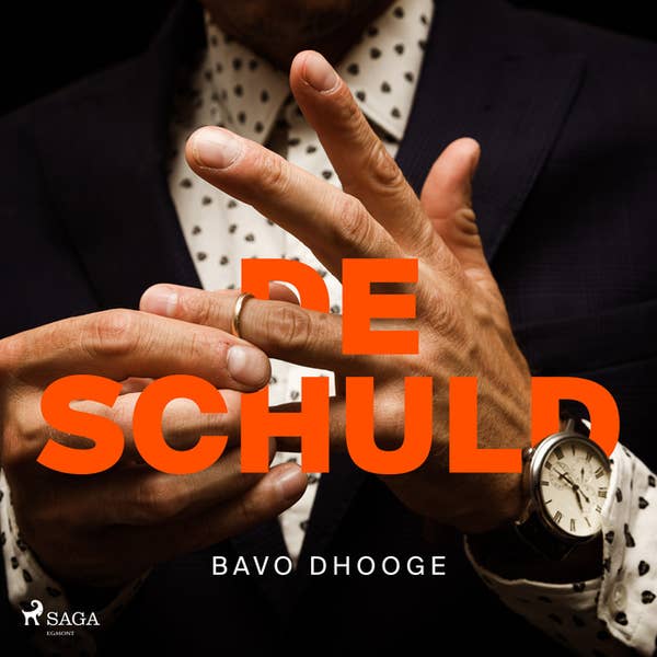 Bavo Dhooge - De schuld