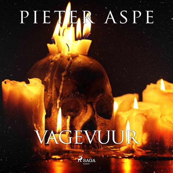 Pieter Aspe - Vagevuur