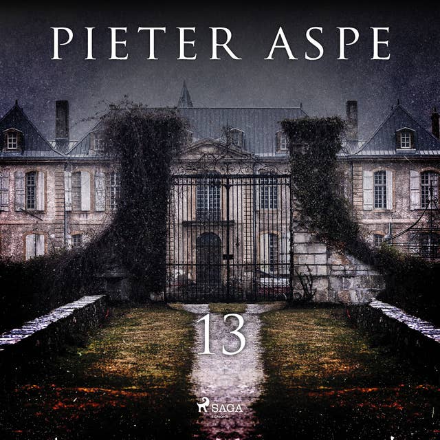 Pieter Aspe - 13