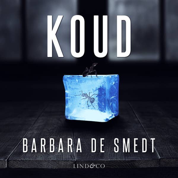 Barbara De Smedt - Koud