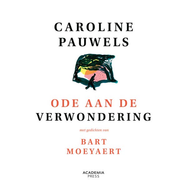 Caroline Pauwels - Ode aan de verwondering